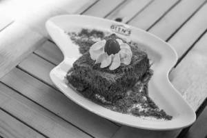 Frozen Mud Pie