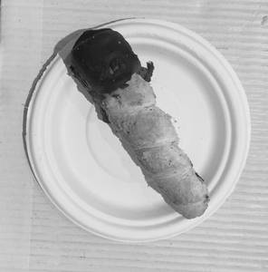 Chocolate Cream Roll