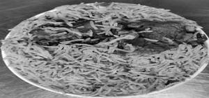 Mutton Dum Biryani