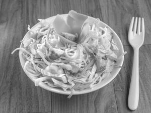 Chicken Hakka Noodles