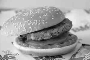 Mexican Cheese Burger
