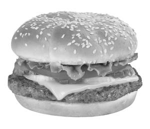 Cheese Burger          
