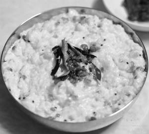 Curd Rice
