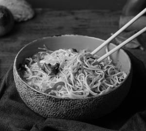 Veg Hakka Noodles