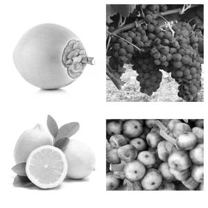 Tender Coconut Grape Lime Within Nungu (750 Ml)