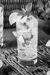 Iced Mojito