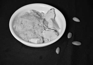 Falooda Kulfi
