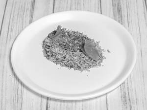 Mushroom Biryani 