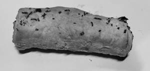 Mushroom Roll