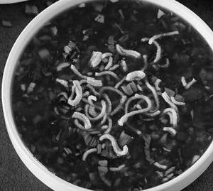 Veg Manchow Soup