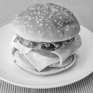 Veg Cheese Burger