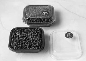 Choco Chips Fudge Brownie