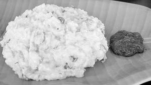 Curd Rice