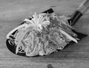 Veg Hakka Noodles         