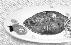 Seer Fish [Neymeen] Fry