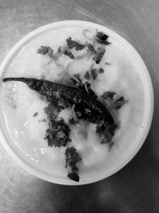 Curd Rice