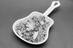 Vegetable Hakka Noodles
