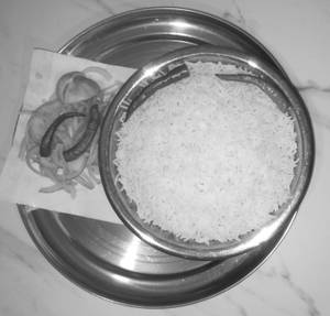 Plain Rice 