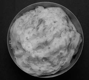 Kerala Paratha 