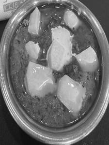 Butter Paneer Masala