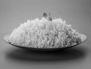 Steam Rice                            