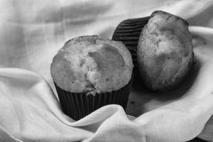 Muffin Box Plain
