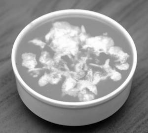 Cream of Chicken Soup