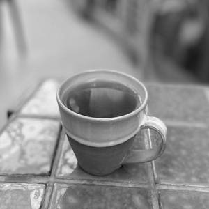Darjeeling First Flush