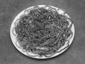 Veg Hakka Noodles