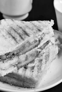Veg Garden Grilled Sandwich