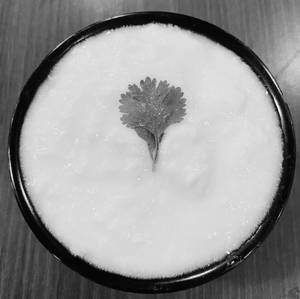 Plain Curd