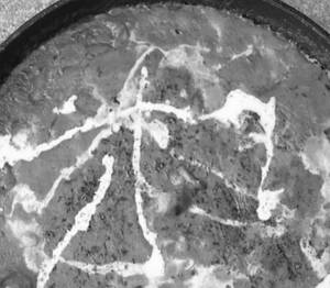 Boneless Butter Chicken