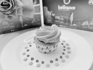 Assorted Cupcake