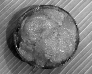 Sweet Coconut Milk Sevai(idiyappam)