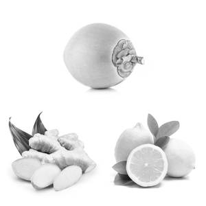 Tender Coconut Ginger Lime Juice (750 ml)