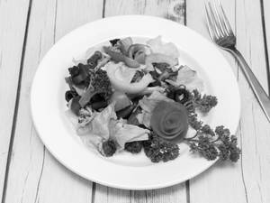 Spanish Olive Salad