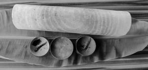 Plain Dosa