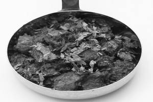 Mamsam Iguru [Fry]