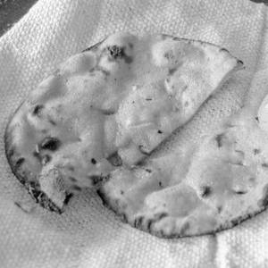 Makai Roti