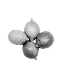 Lemon (4pcs)