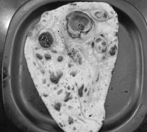 Tandoori Roti