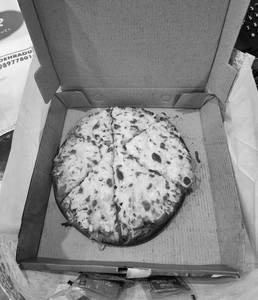 Cheese Pizza
