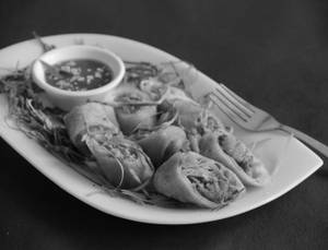 Chicken Spring Roll