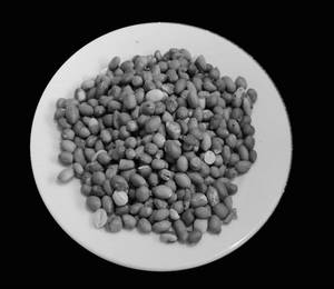 Peanut Roasted 250g