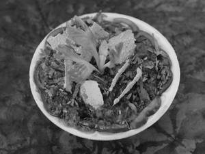 Veg Jaipuri