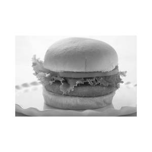 Veg Patty Burger