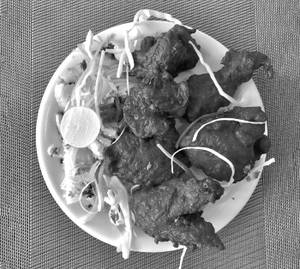 Chicken Kabab