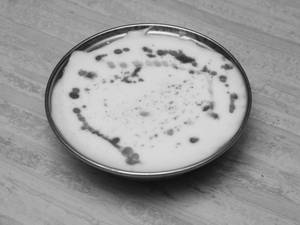 Pineapple Raita
