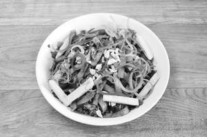 Veg Pan Fried Noodles with Sauce