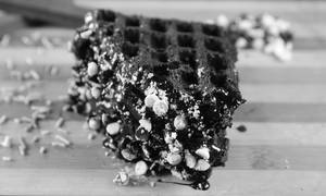 Death By Chocolate